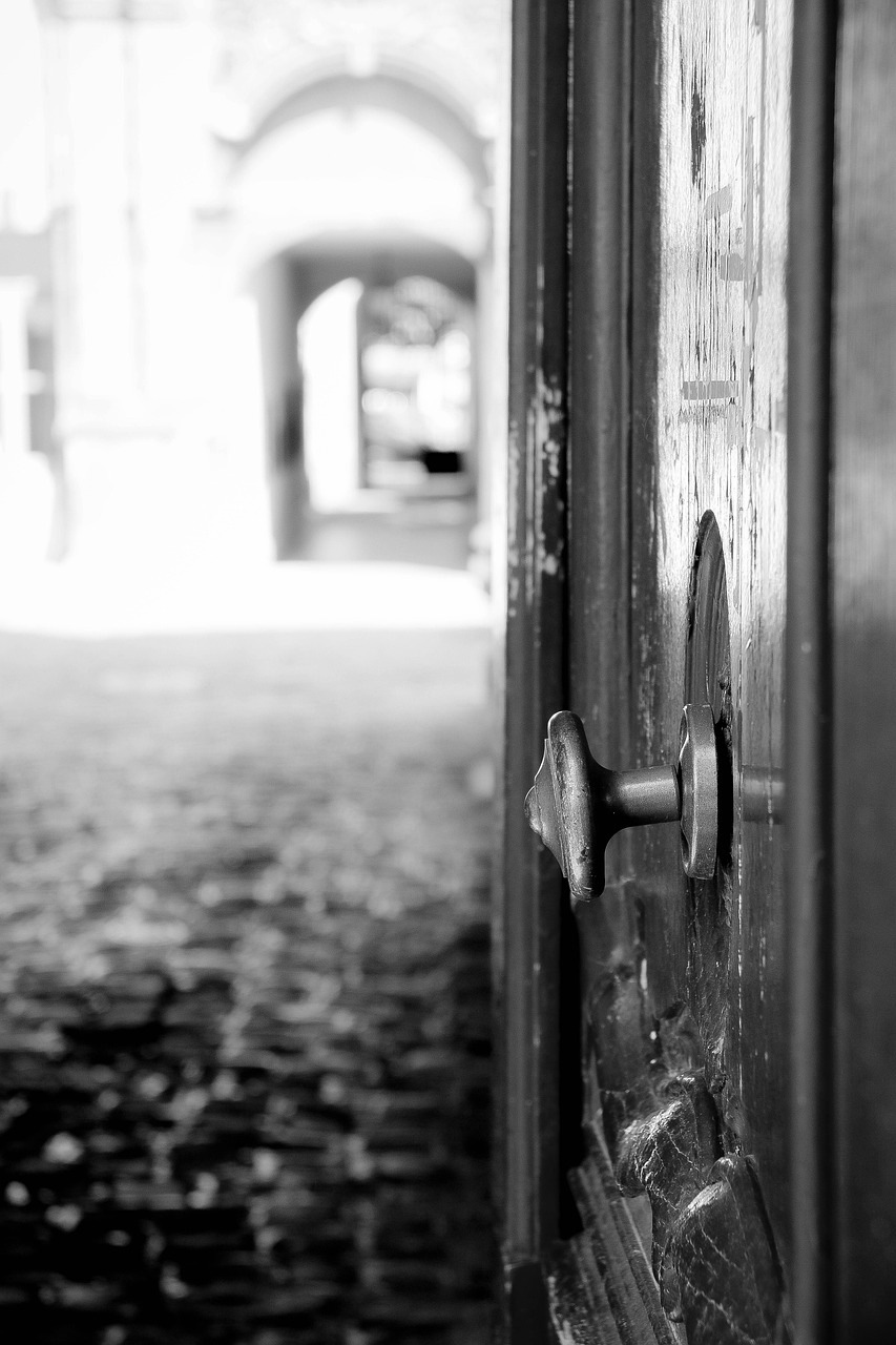 door, opened, alley, paved, former, black and white, entry, choice, old, architecture, to come up